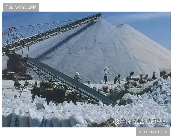 莫利纳身价飙升，状态回暖引爆转会市场，未来前景备受期待