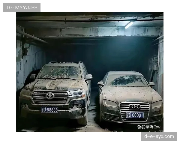 欧文训练完回家路上顺手买了辆布加迪，就为了配他车库那堆车的颜色